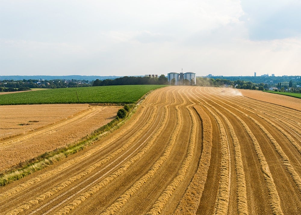 farm land