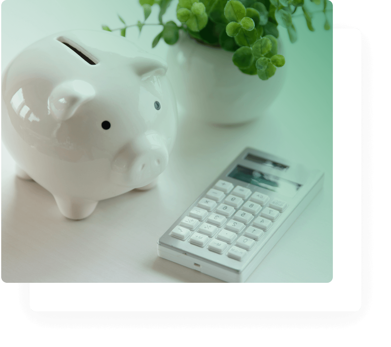 piggy bank with calculator and plant